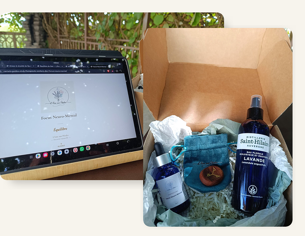 Coffret Focus Neuro-Mental et outils sensoriels : composé floral, eau florale et talisman